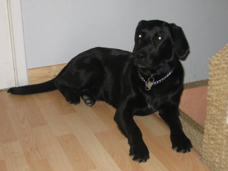 Mon Bandit maintenan!!!