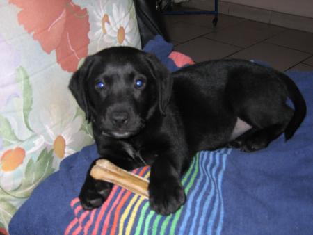 Mon ptit Bandit!!!