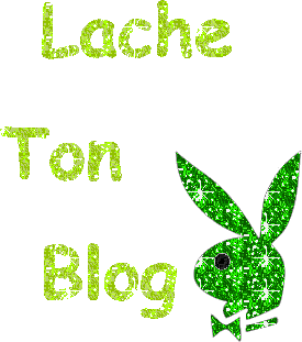Lache ton blog!!!