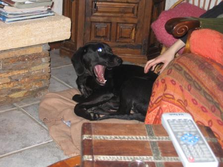 Boskinou!!! lol