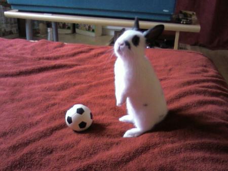 Mon Titou!!!