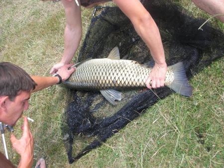 Seigneur kel bo poisson!!! Mdr